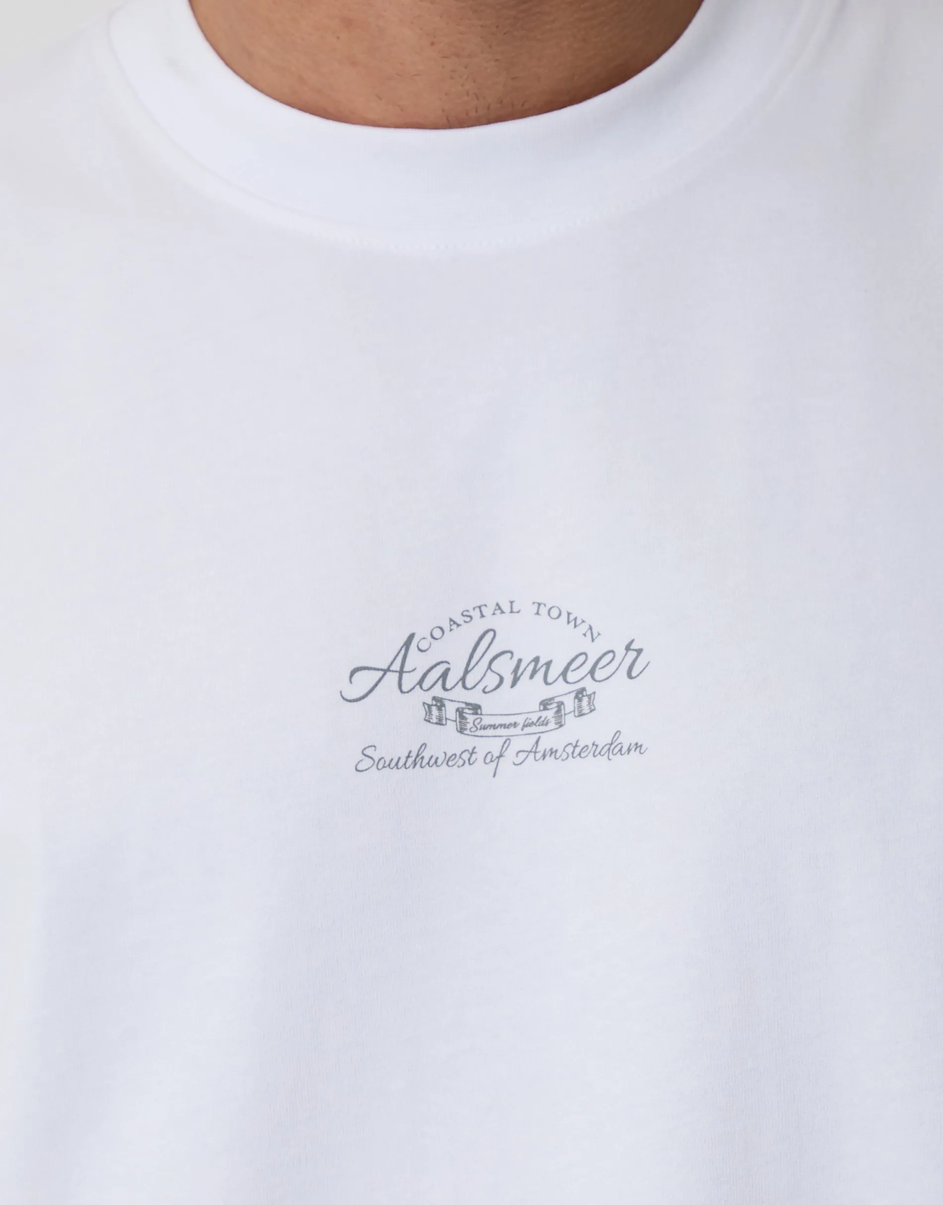 White Relaxed Fit Aalsmeer Peached Cotton T-Shirt sold by Threadbare product image thumbnail 4