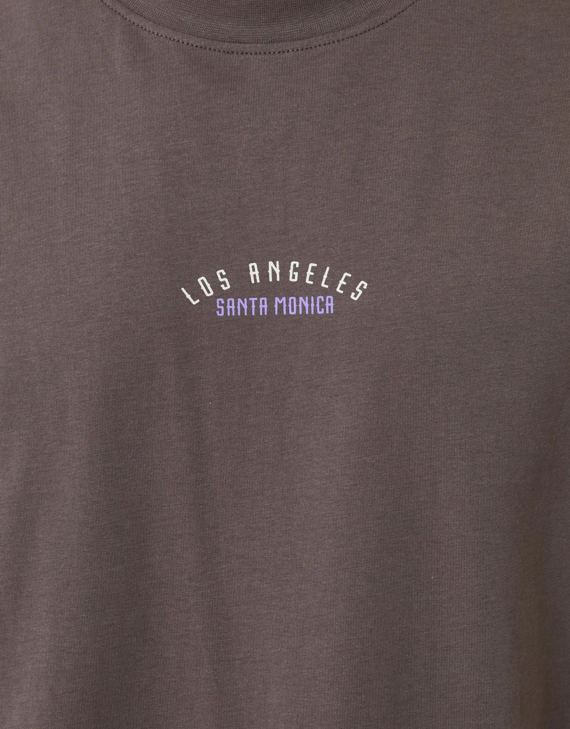 Relaxed Fit Los Angeles Graphic T-Shirt in Grey sold by Threadbare product image thumbnail 4