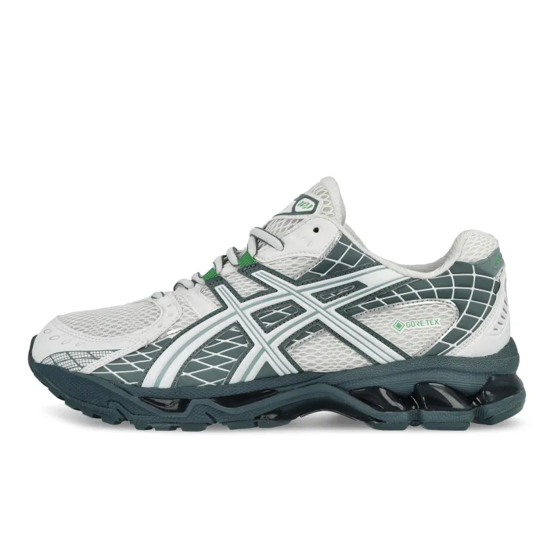 Gel-Nimbus 10.1 GTX made by Asics