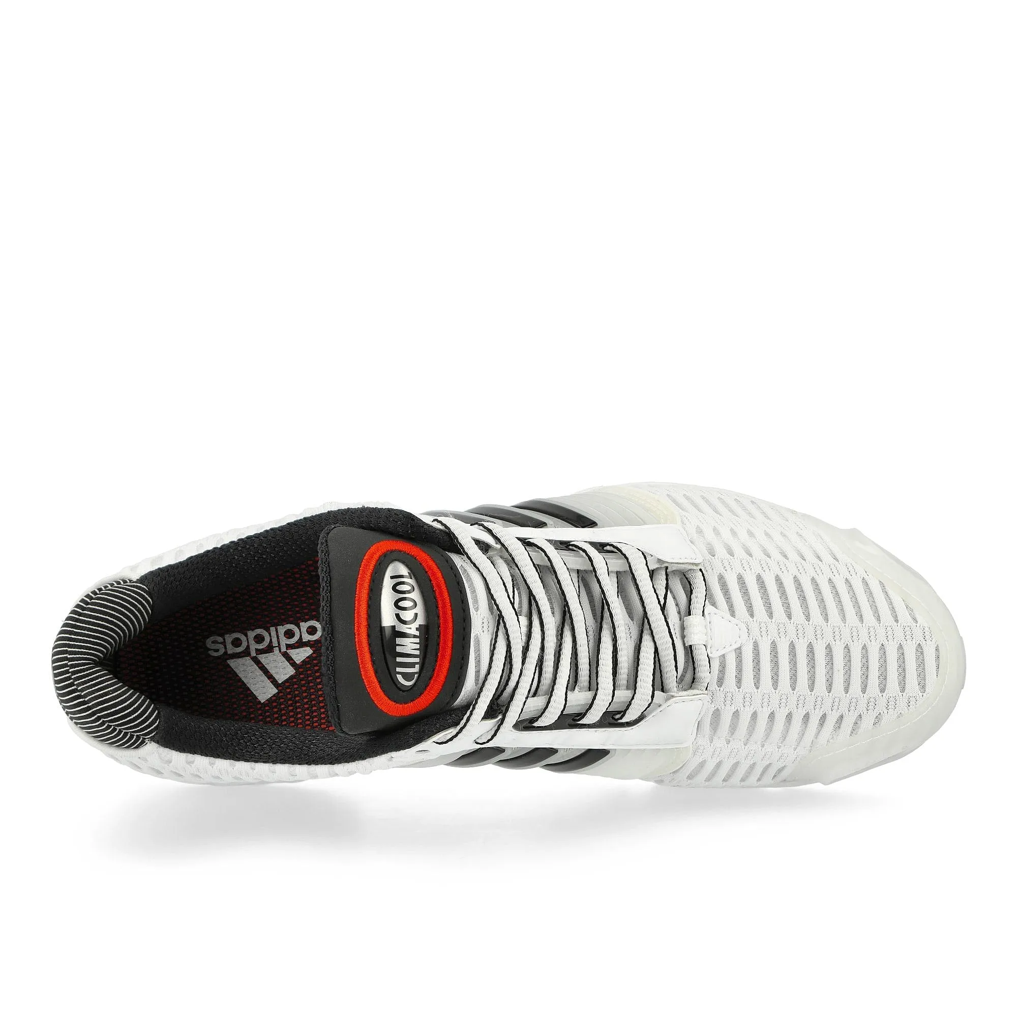 Climacool 1 sold by OVERKILL product image thumbnail 5