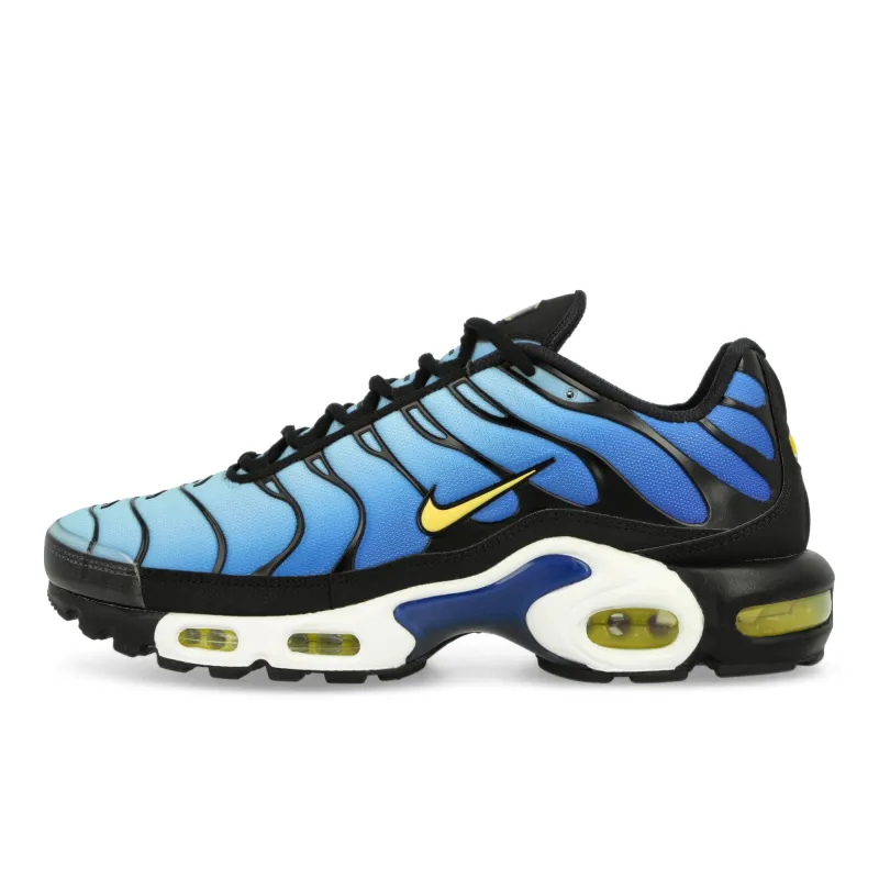 Air Max Plus OG made by Nike