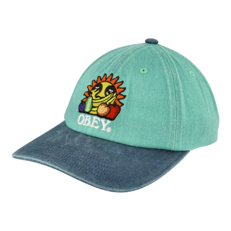 Pigment Fruits 6 Panel Snapback Cap made by Obey