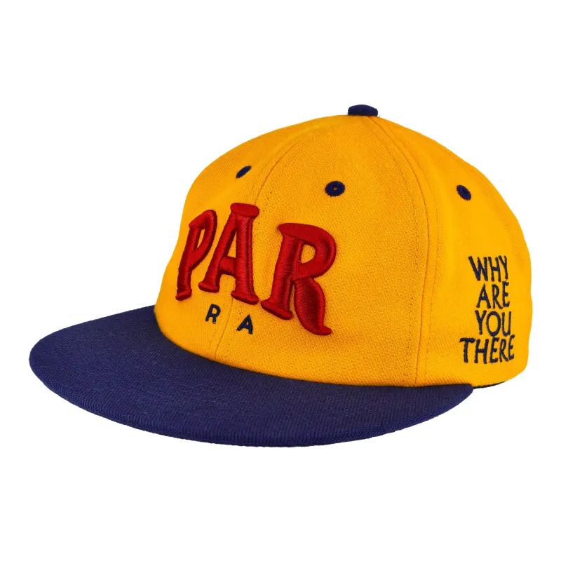 Dollar Store 6 Panel Hat made by by Parra