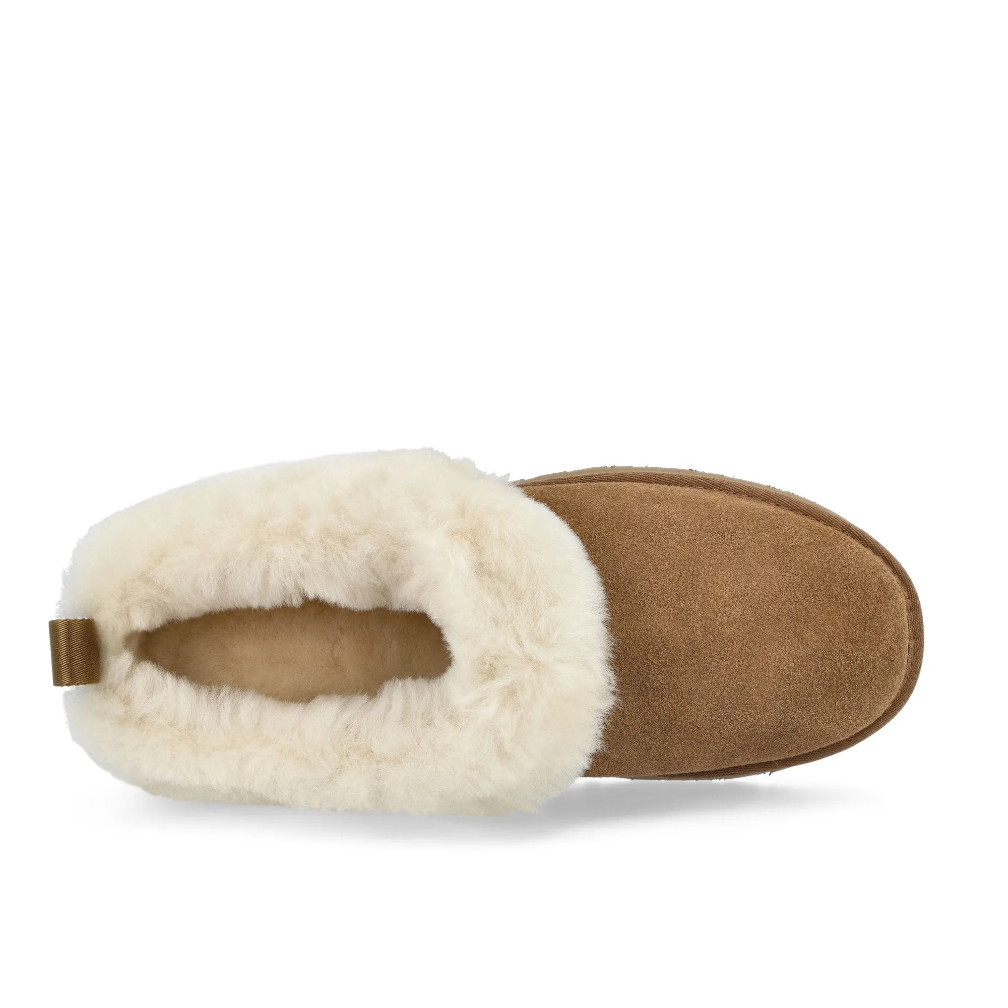 W Tazzelle sold by OVERKILL product image thumbnail 5