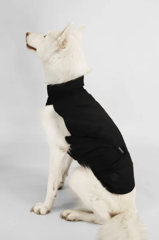 Buddie sold by Noize