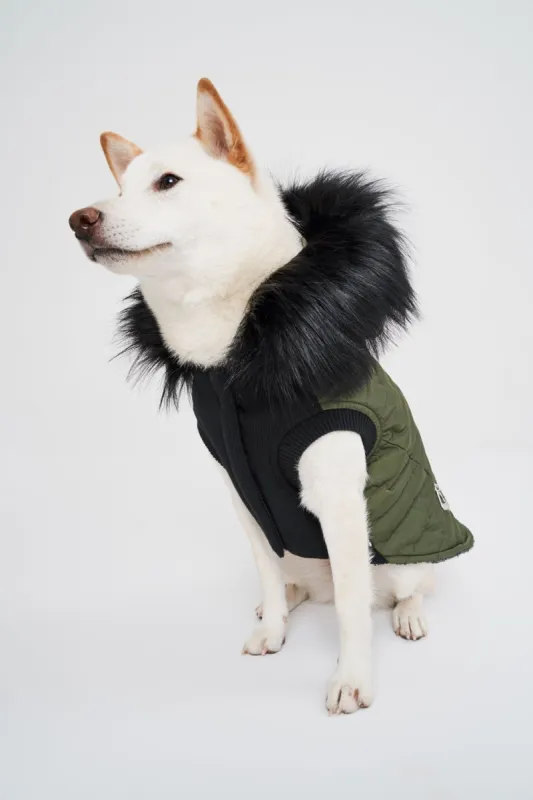 Sawyer sold by Noize