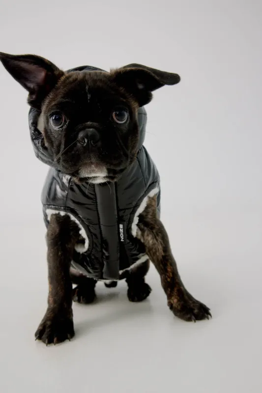 Angel-04 sold by Noize