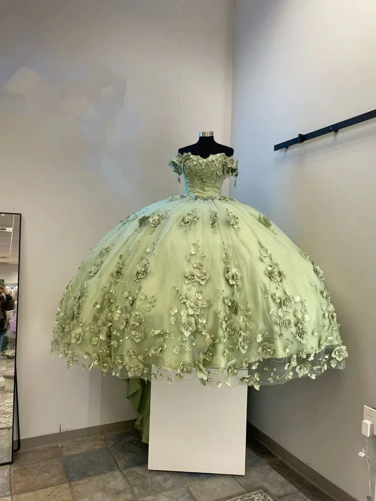 Off the Shoulder 3D Flowers Plus Size Sage Green Quinceanera Dresses sold by My Chic Dress product image thumbnail 2