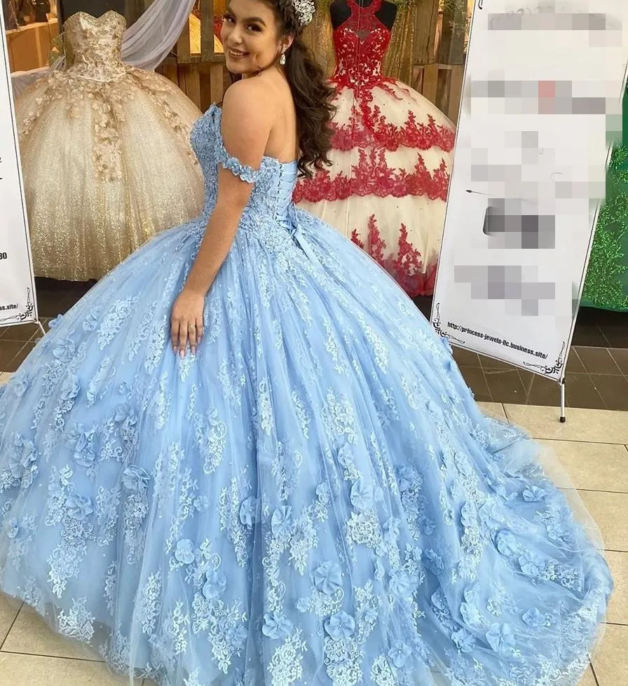 Ball Gown Light Blue Quinceanera Dresses 3D Flowers Lace Sweet 16 Dresses sold by My Chic Dress product image thumbnail 5