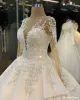 Long Sleeves Lace Applique Vintage Wedding Dresses Ball Gown Bridal Dress sold by My Chic Dress