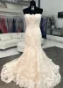 Strapless Lace Mermaid Wedding Dresses Sleeveless Lace up Back sold by My Chic Dress