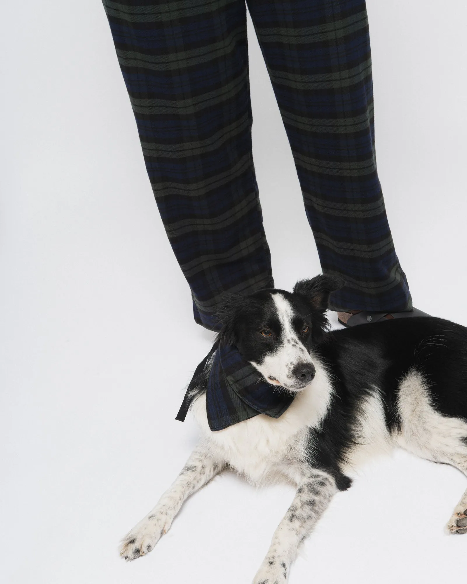 Pyjama Brushed Twill Check Blue sold by Eat Dust product image thumbnail 4