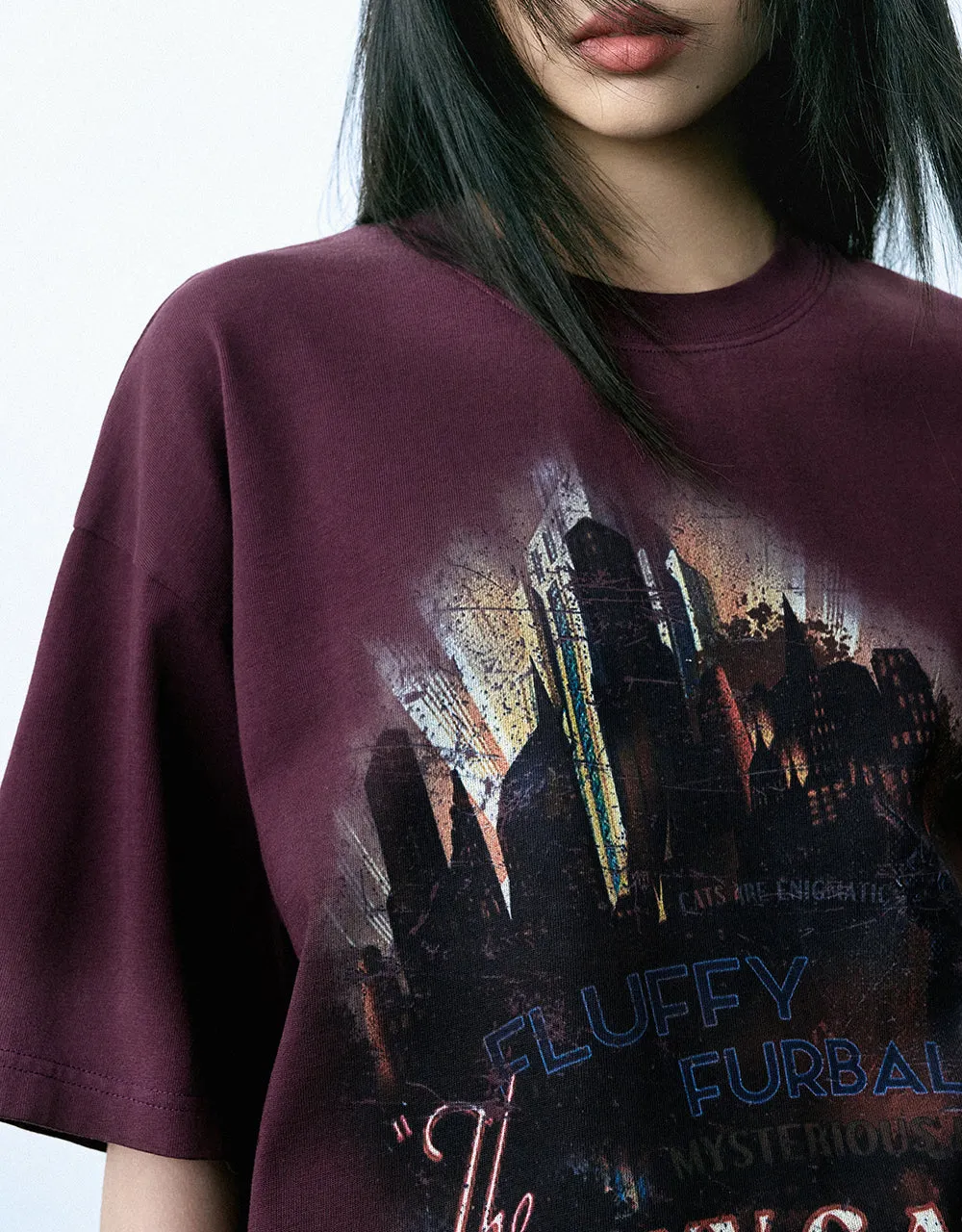 Printed Crew Neck Loose T-Shirt sold by Urban Revivo product image thumbnail 4