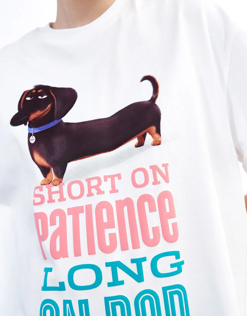 The Secret Life Of Pets Oversized T-Shirt sold by Urban Revivo product image thumbnail 4