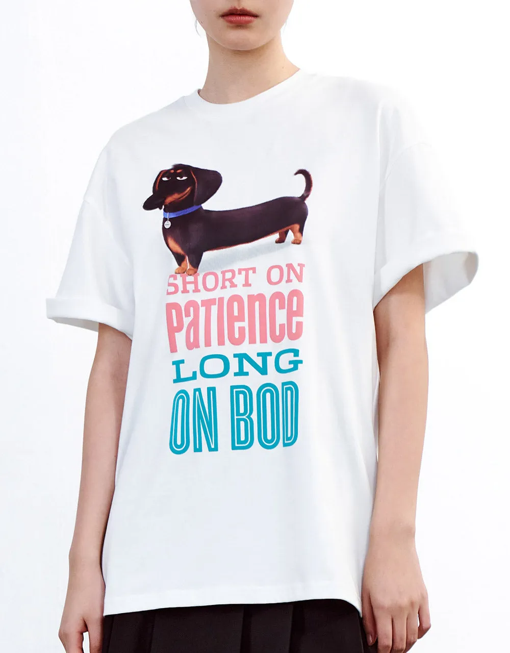 The Secret Life Of Pets Oversized T-Shirt sold by Urban Revivo