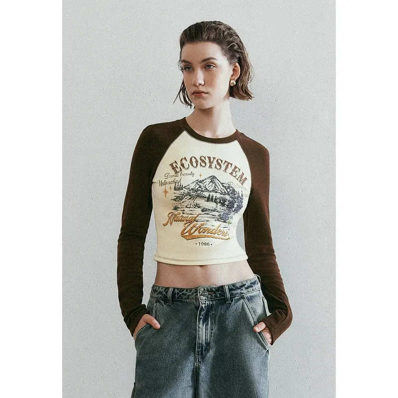 Raglan Sleeve Skinny T-Shirts sold by Urban Revivo product image thumbnail 5