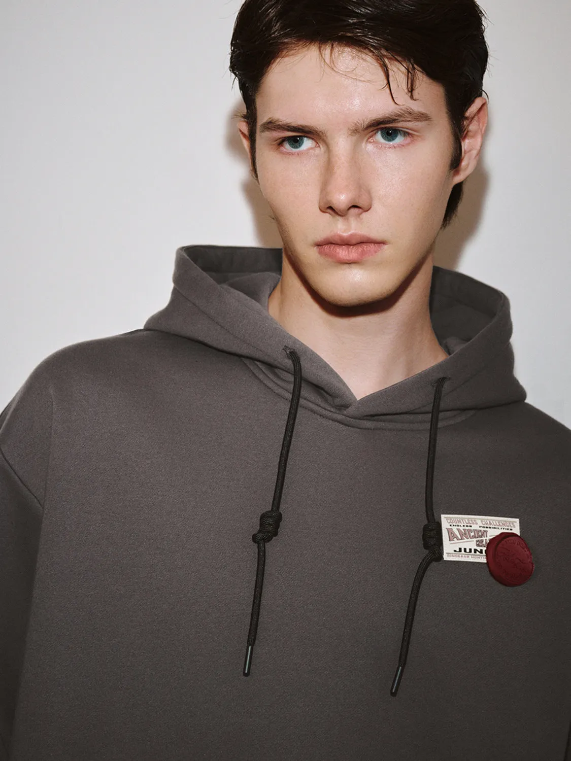 Hoodie Sweatshirts sold by Urban Revivo product image thumbnail 3