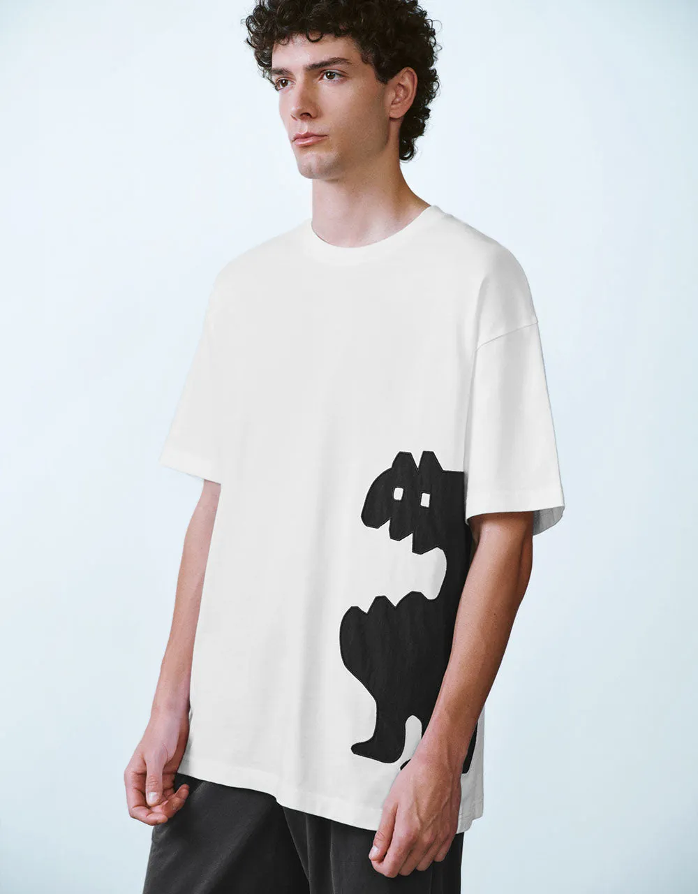 Printed Crew Neck Loose T-Shirt sold by Urban Revivo product image thumbnail 3