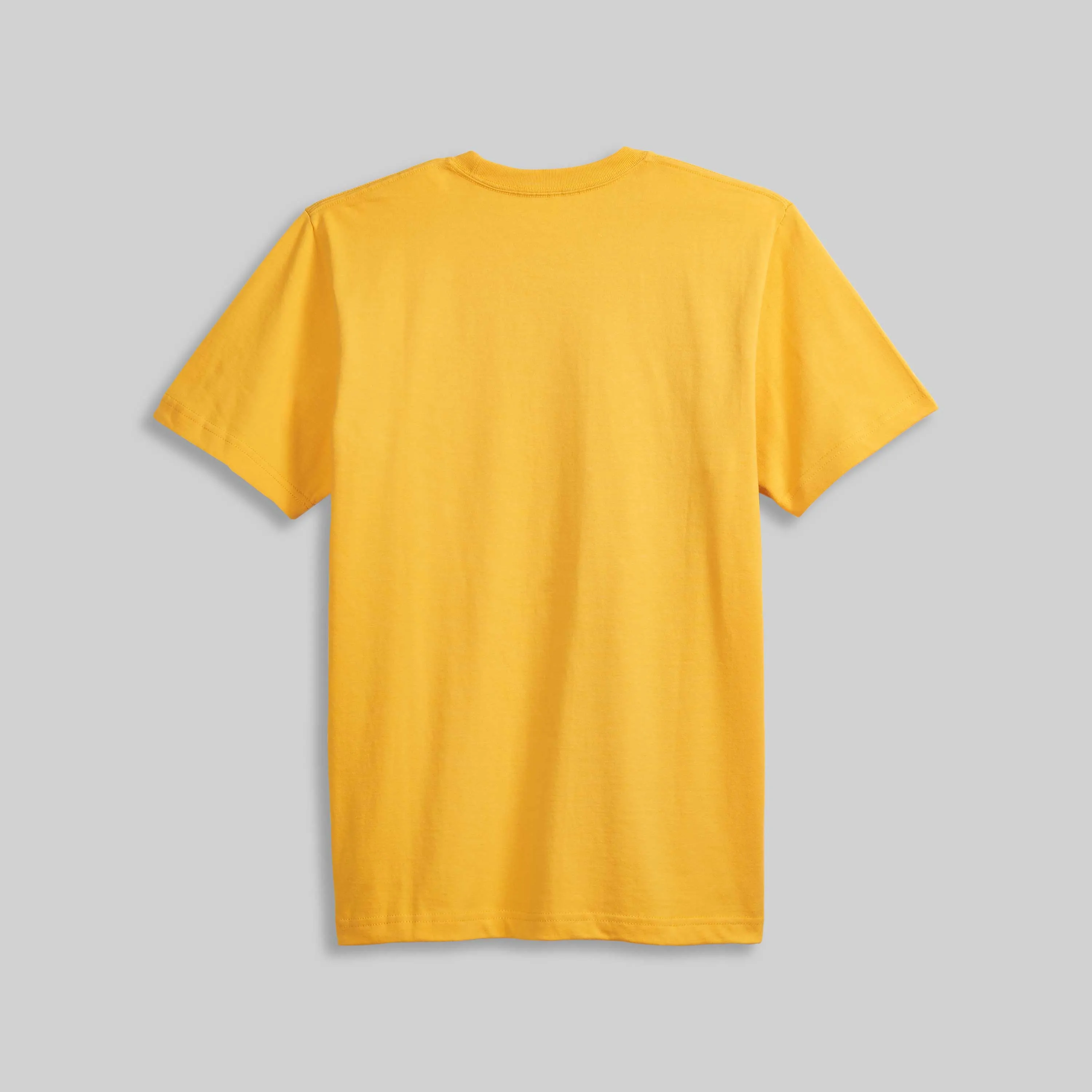 1009 HEAVYWEIGHT T-SHIRT sold by House of Blanks product image thumbnail 2