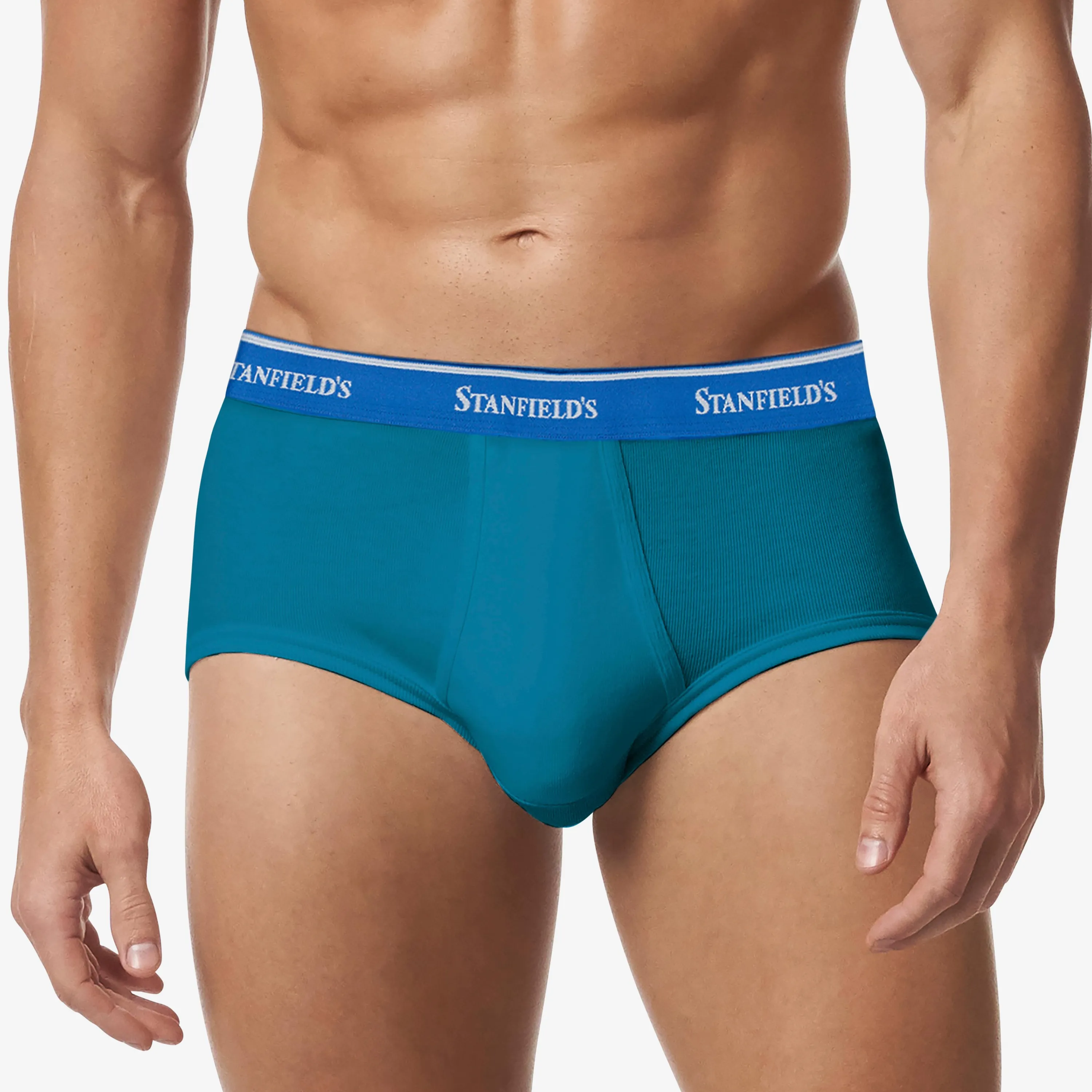 Men's Premium Brief - 3 Pack sold by Stanfields