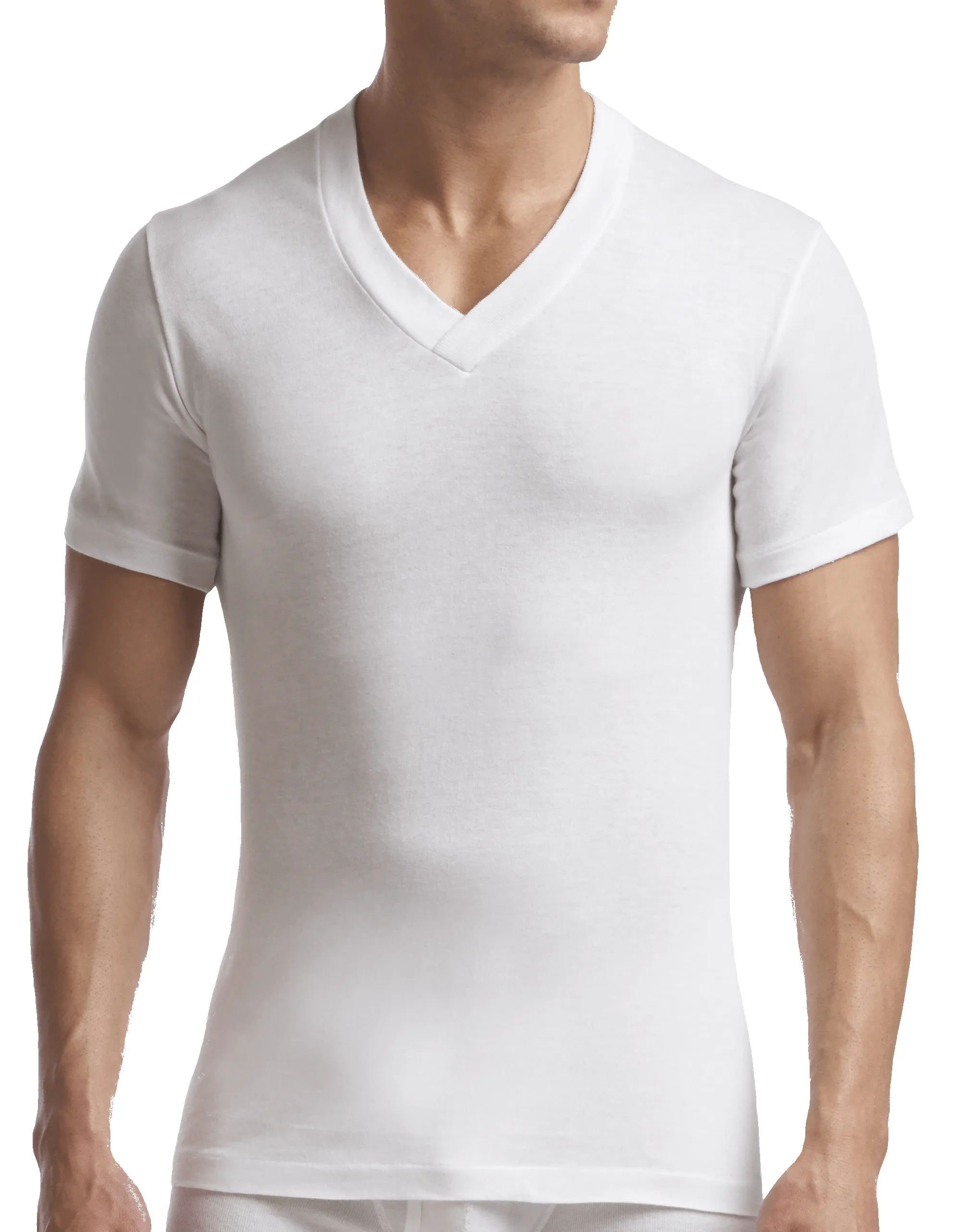 Men's Supreme V-Neck T-Shirt - 2 Pack sold by Stanfields