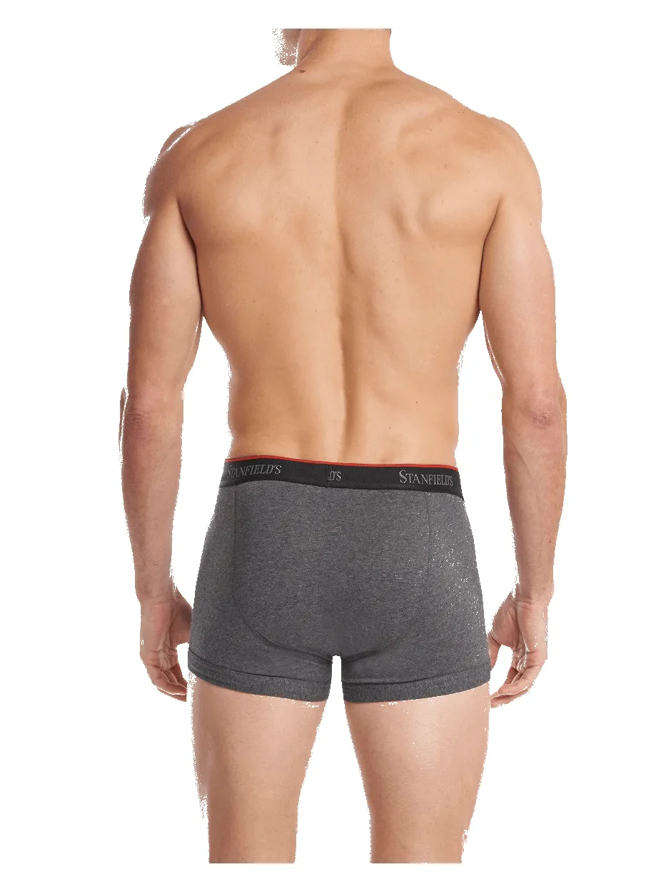 Men's Stretch Trunk - 2 Pack sold by Stanfields product image thumbnail 2