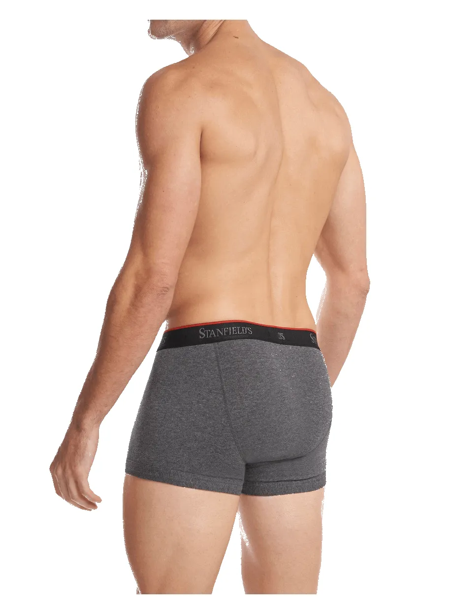 Men's Stretch Trunk - 2 Pack sold by Stanfields product image thumbnail 4