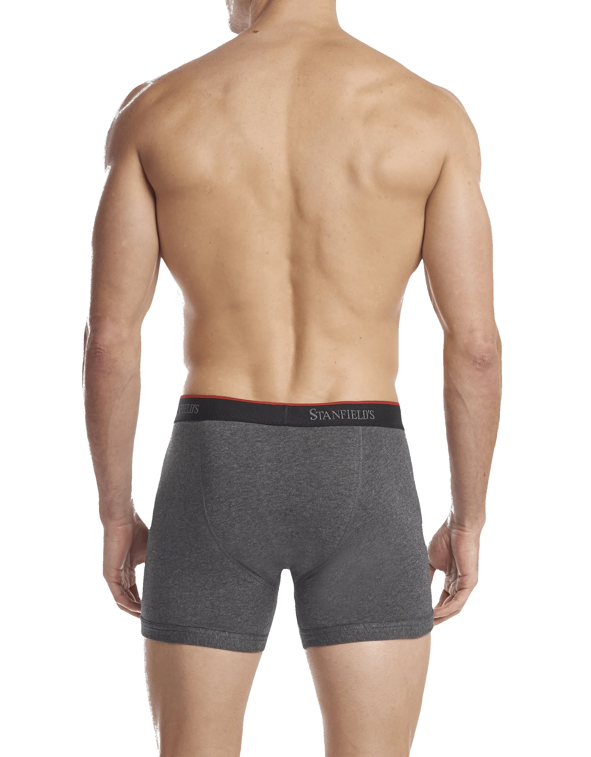 Men's Stretch Boxer Brief - 2 Pack sold by Stanfields product image thumbnail 3