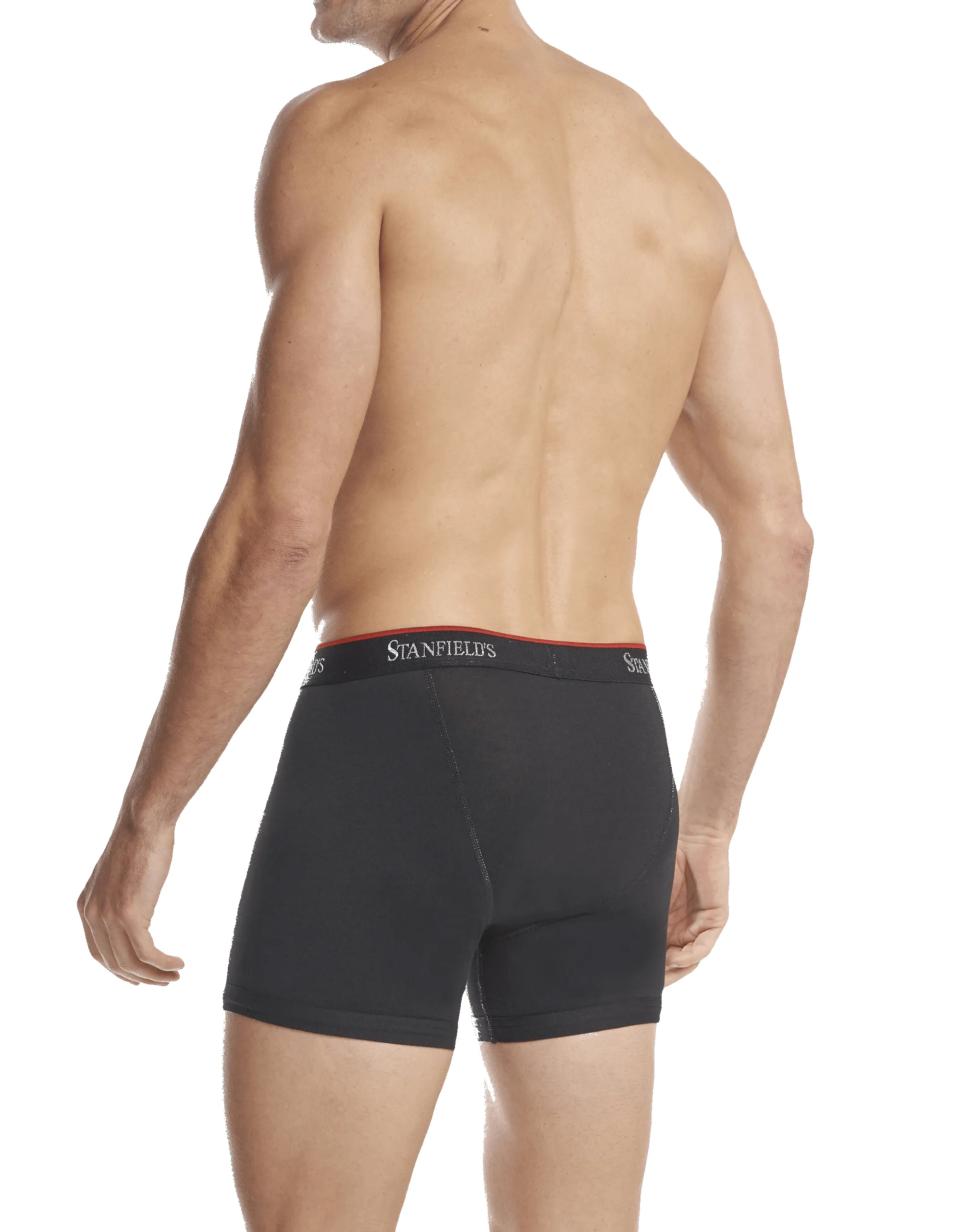 Men's Stretch Boxer Brief - 2 Pack sold by Stanfields product image thumbnail 5
