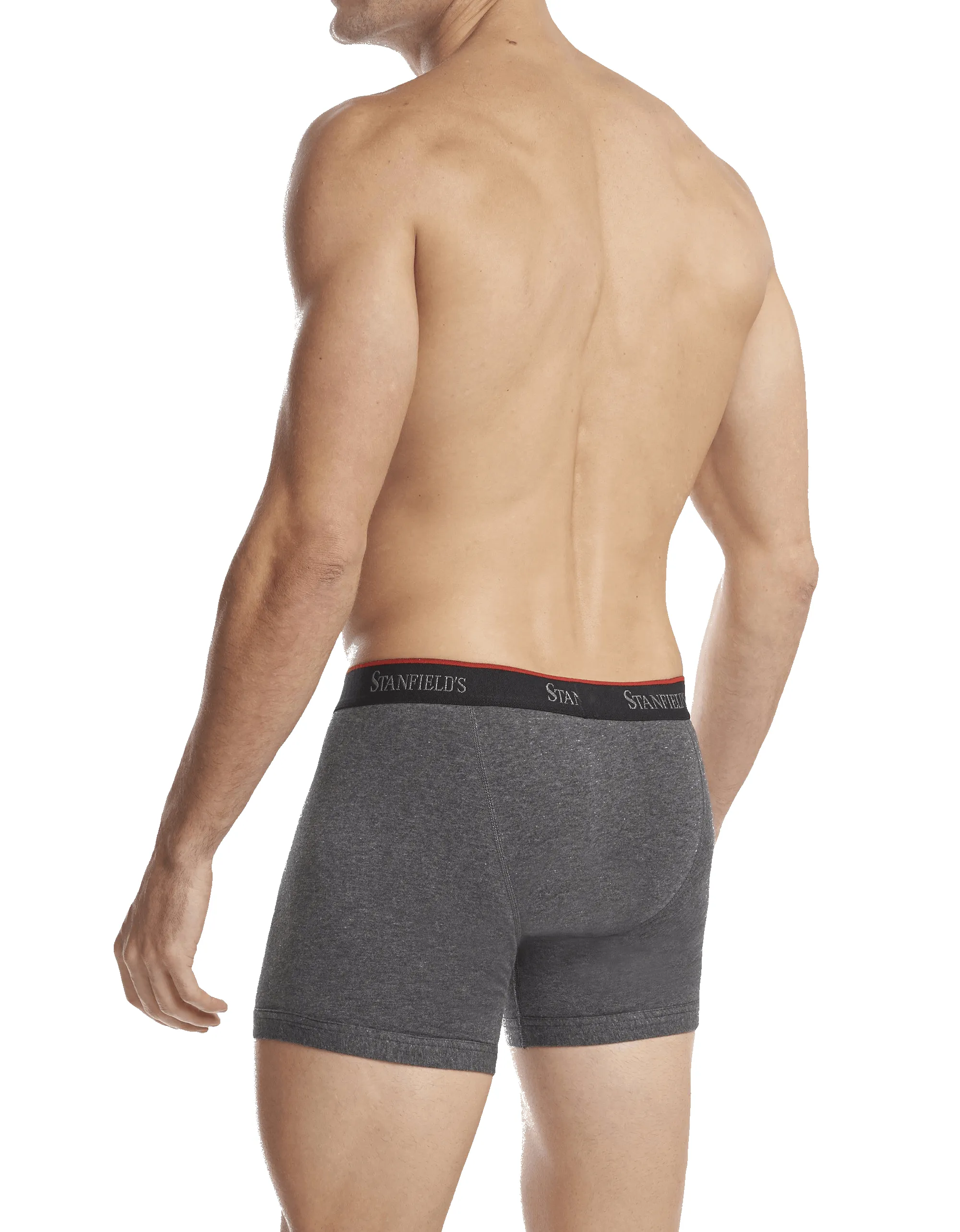 Men's Stretch Boxer Brief - 2 Pack sold by Stanfields product image thumbnail 2