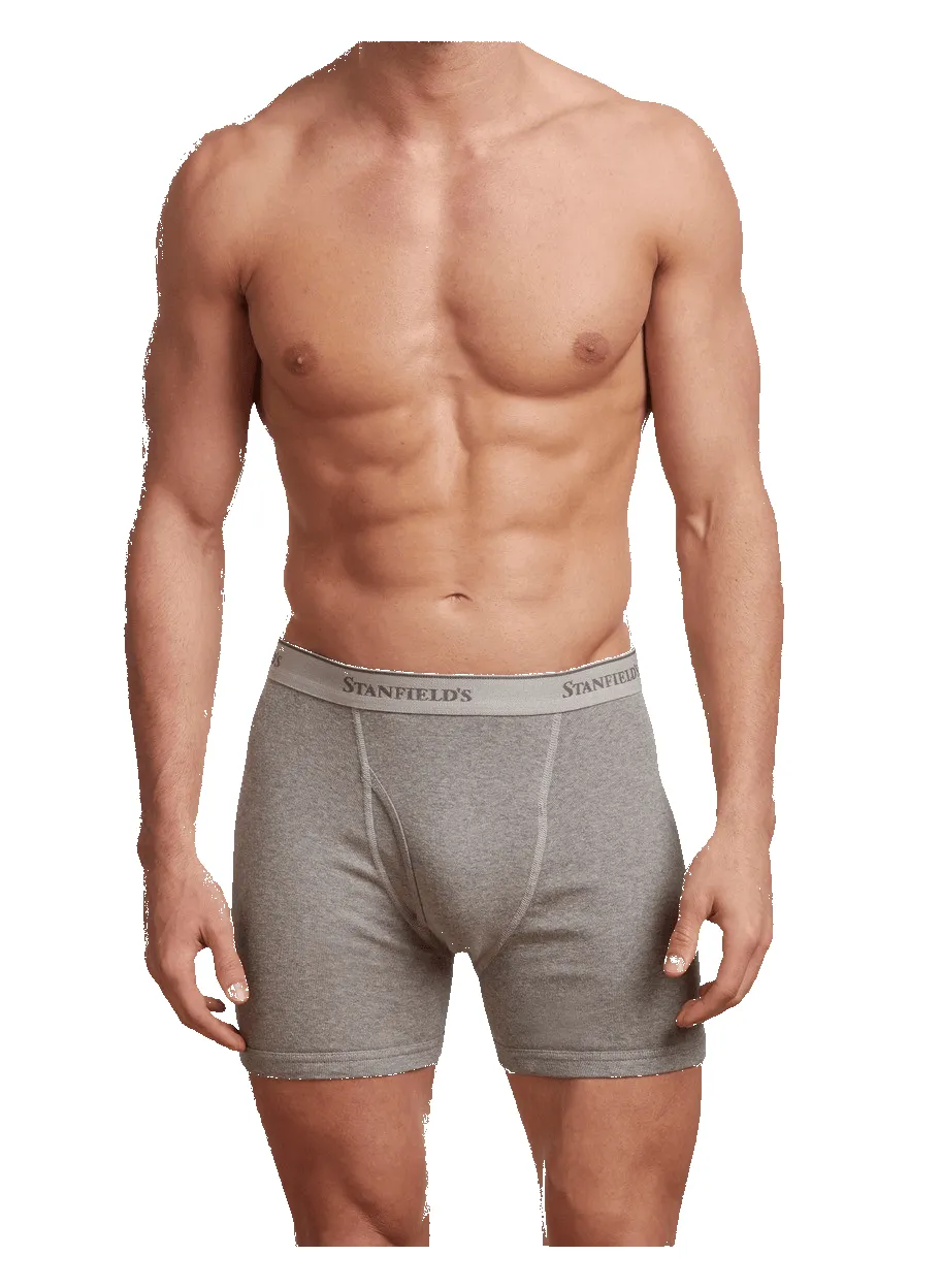 Men's Premium Boxer Brief - 2 Pack sold by Stanfields product image thumbnail 3