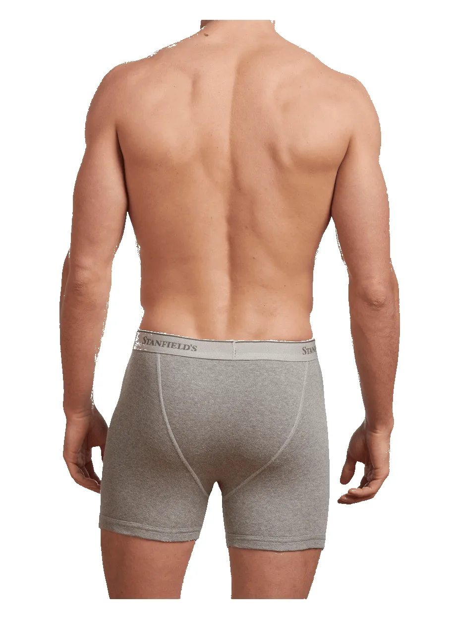 Men's Premium Boxer Brief - 2 Pack sold by Stanfields product image thumbnail 4