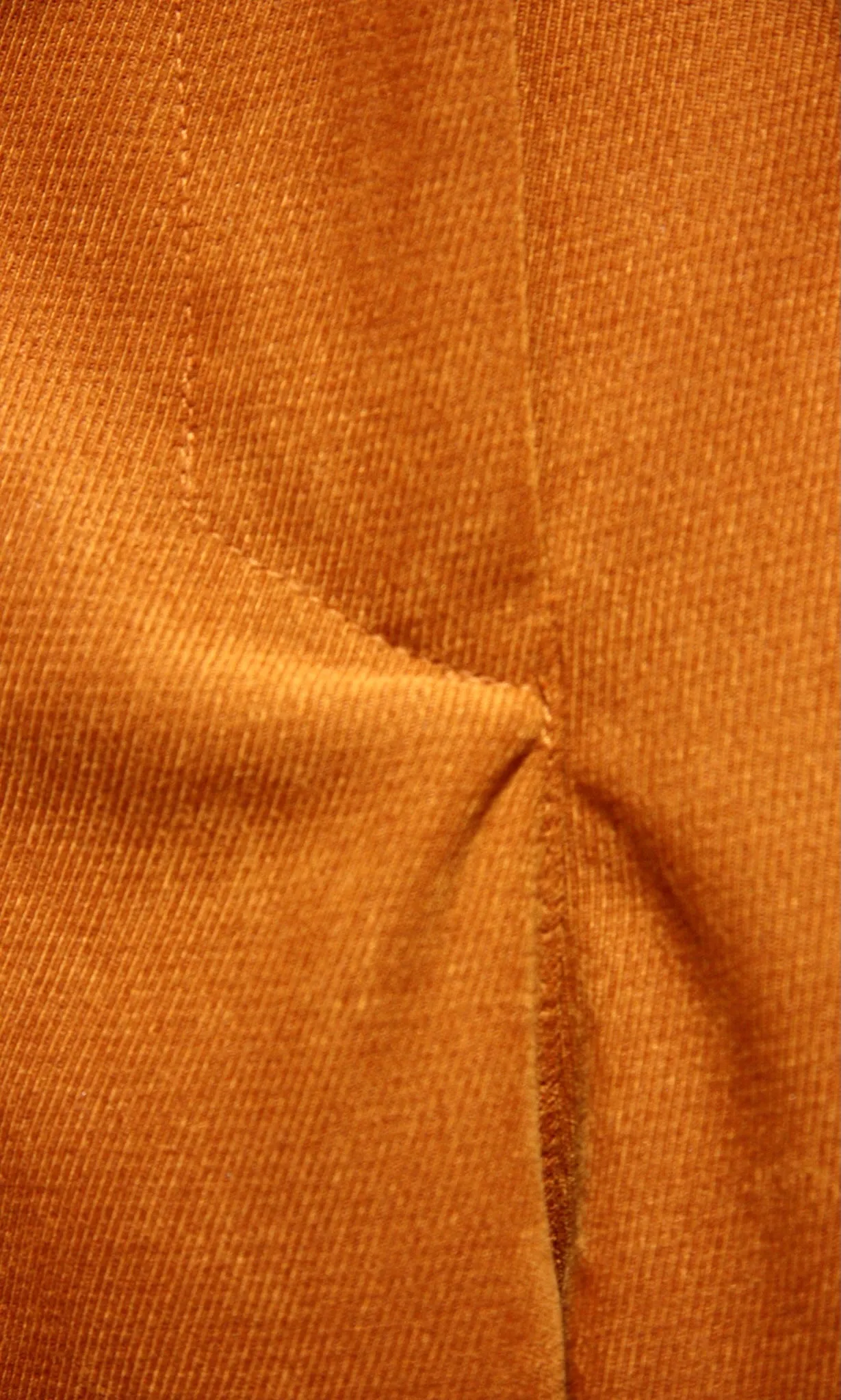 SS486 - 16 - Bloodfool Pant - Marmalade sold by Birds of North America product image thumbnail 2