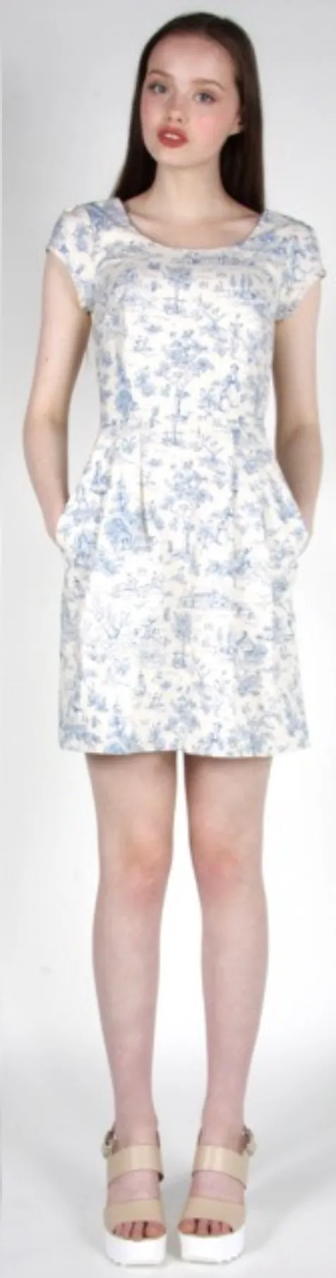 RN820 - 4 - Waterthrush Dress - Cornflower Toile sold by Birds of North America product image thumbnail 3