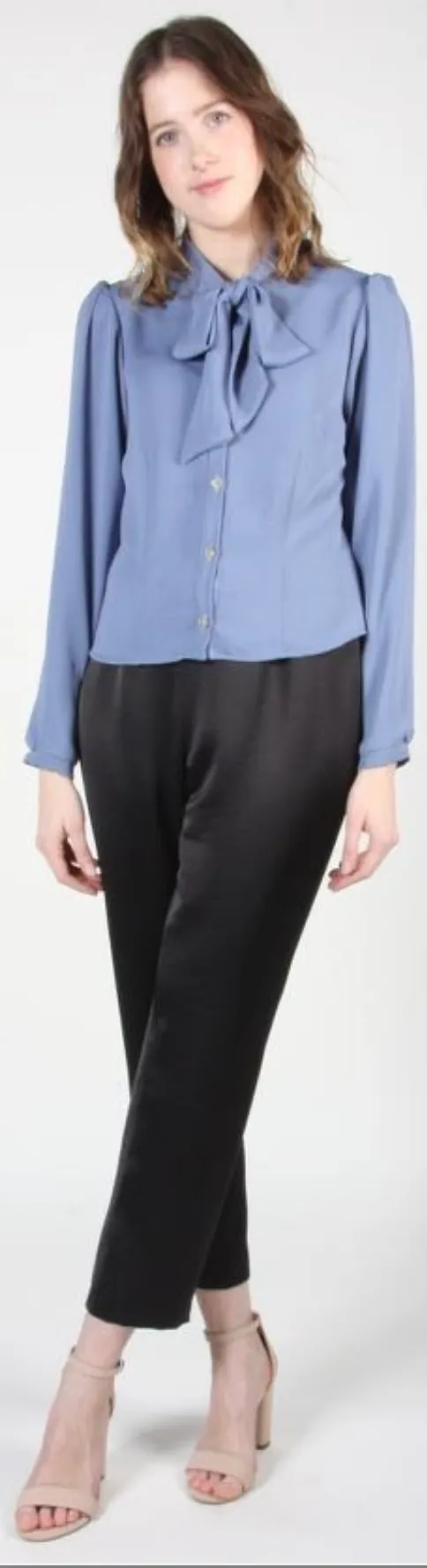RN810 - 16 - Dotterel Blouse - Blue sold by Birds of North America product image thumbnail 3