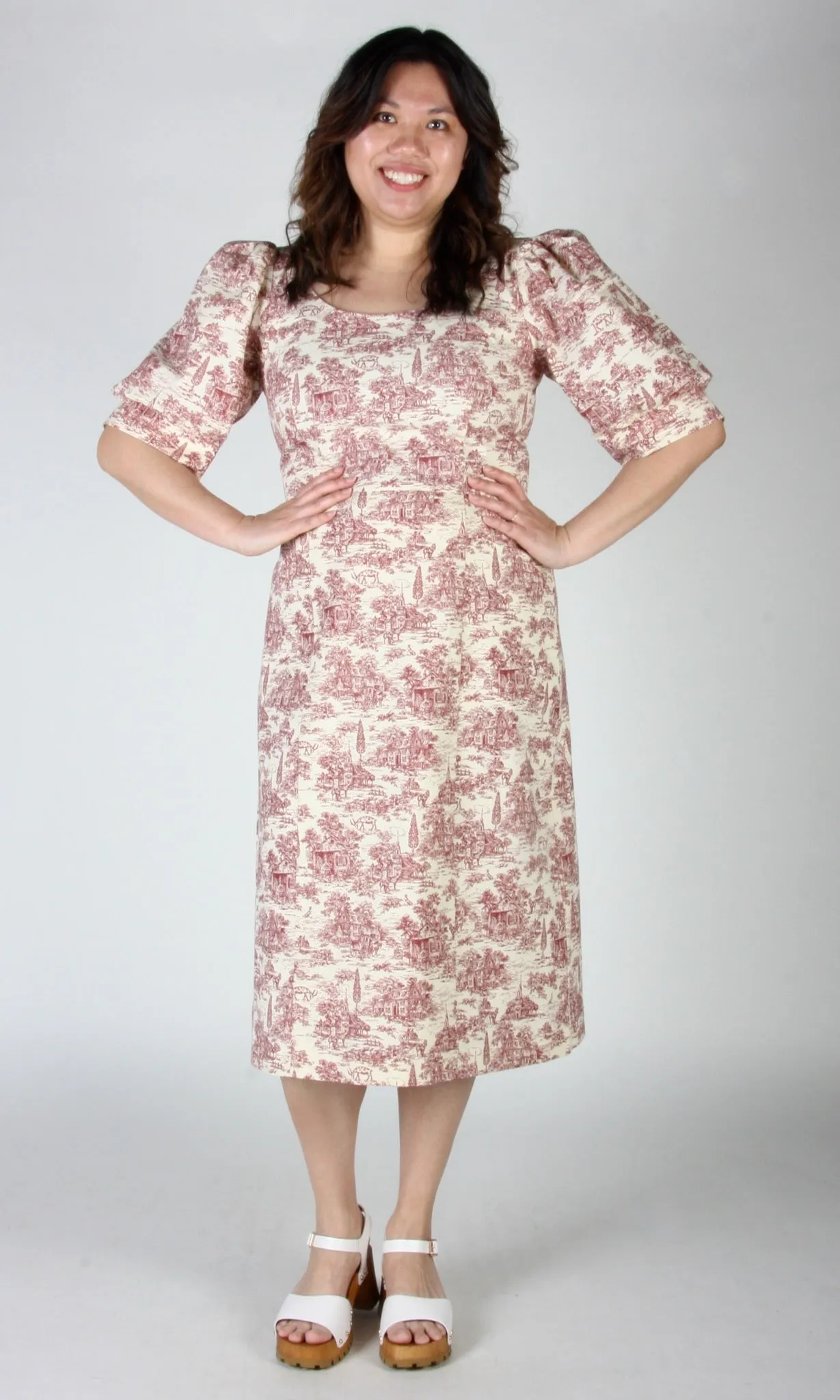 Veery Dress - Brick Village Toile sold by Birds of North America product image thumbnail 5