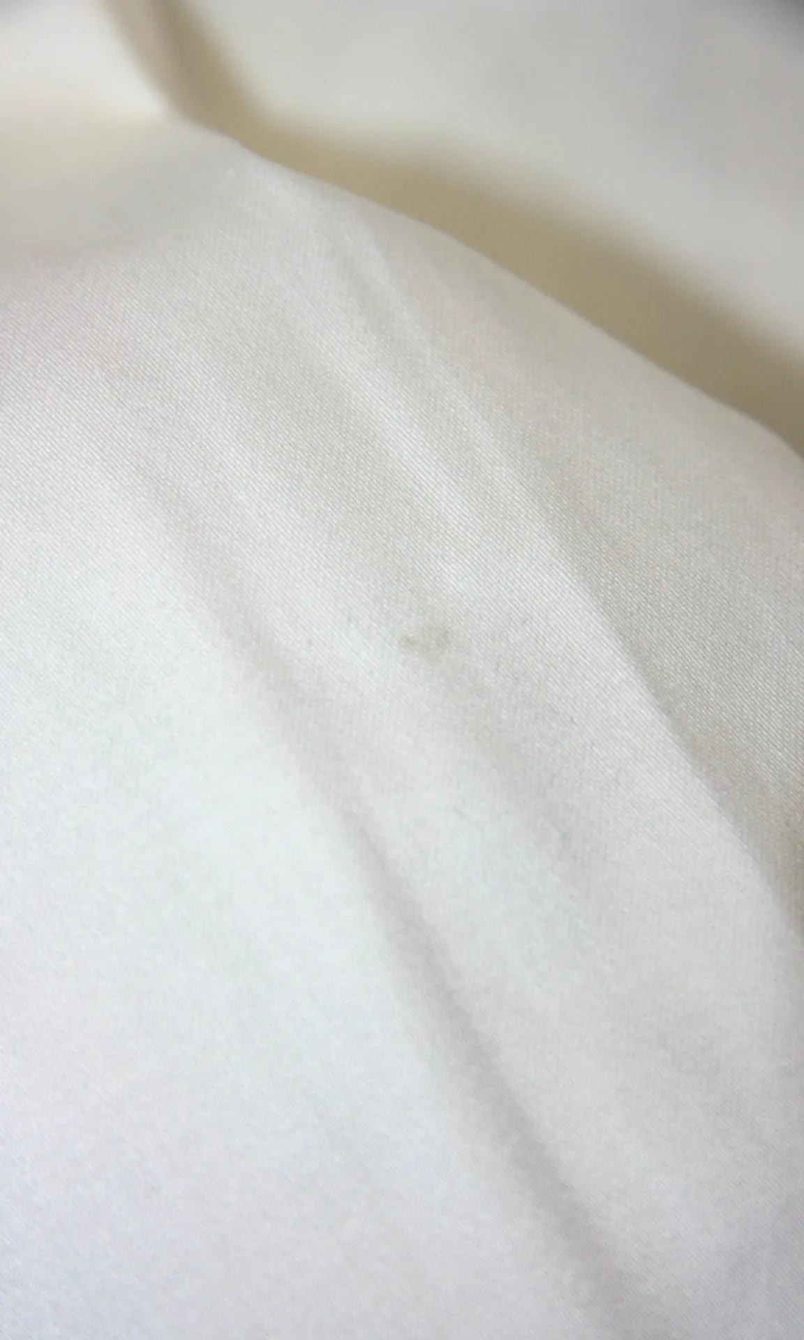 SS124 - 8 - Soar Dress - Ivory sold by Birds of North America product image thumbnail 3