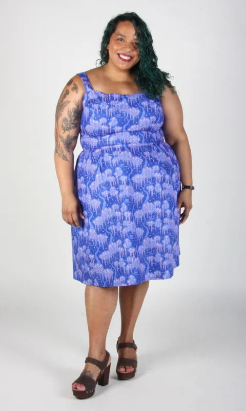 Bee Martin Dress - Cat Dreams sold by Birds of North America