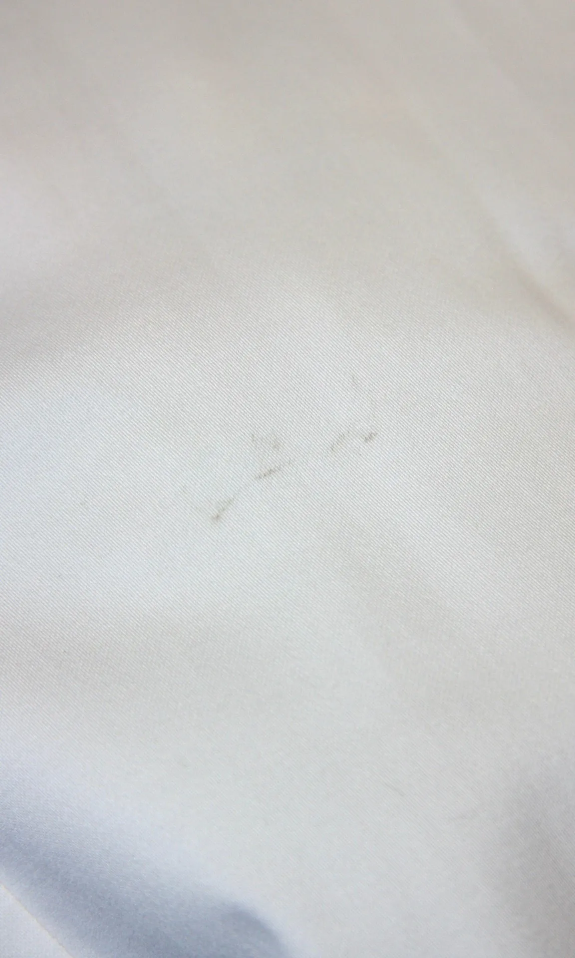 SS121 - 4 - Soar Dress - White sold by Birds of North America product image thumbnail 2