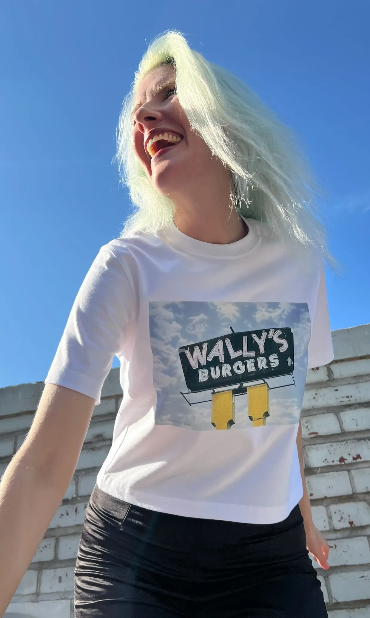 'Wally's Burgers' Tee sold by Birds of North America product image thumbnail 2