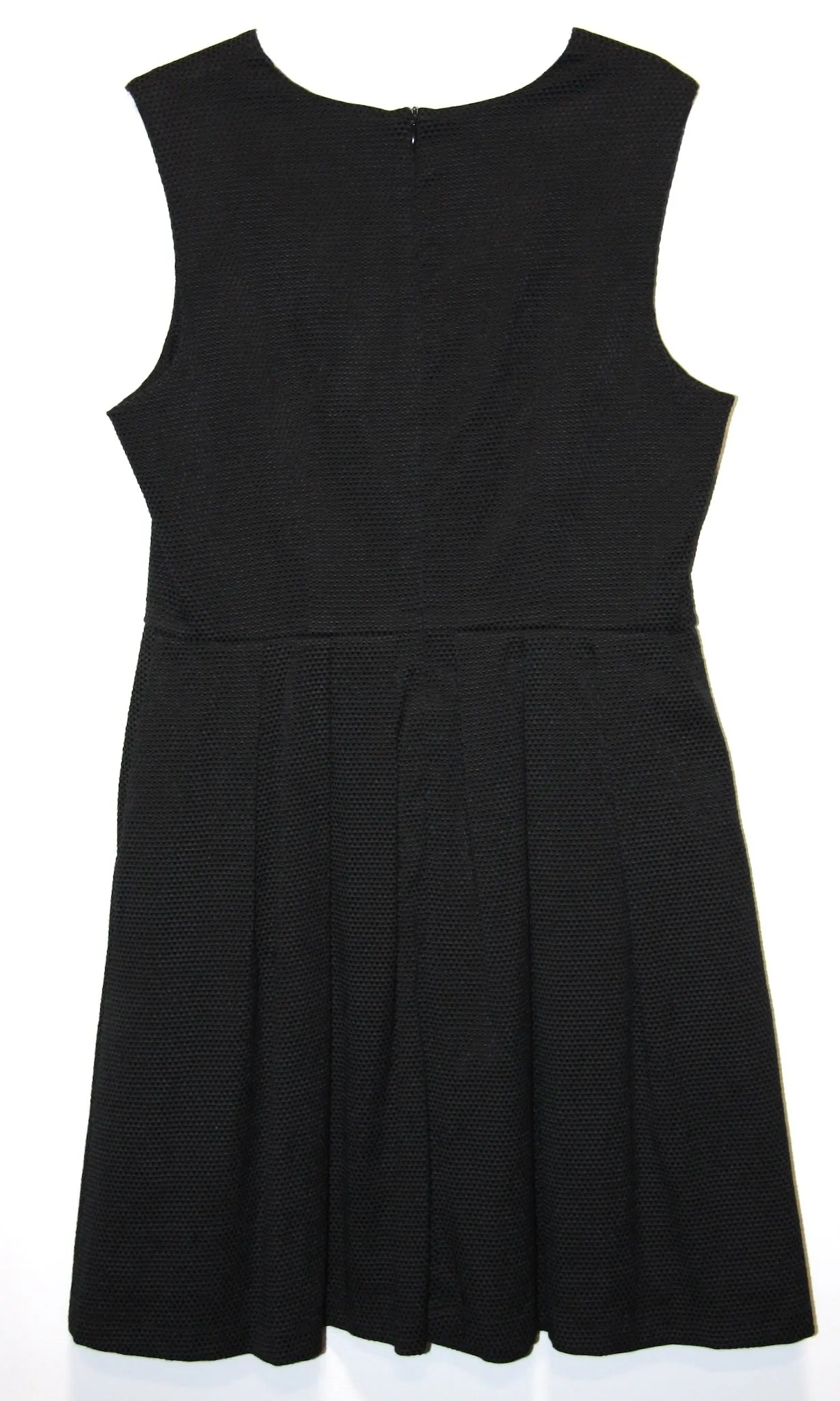RN1259 - 14 - Sunbittern Dress - Black sold by Birds of North America product image thumbnail 2