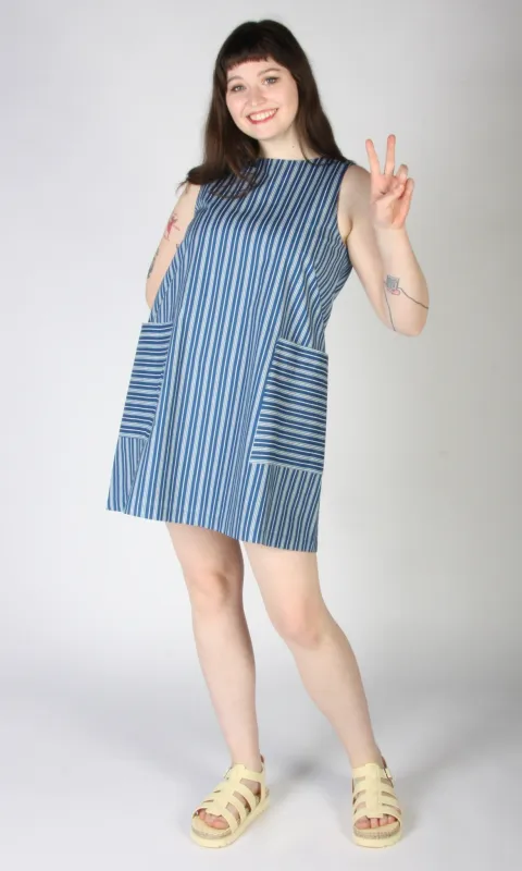 Redpoll Dress - ZigZag made by Birds of North America