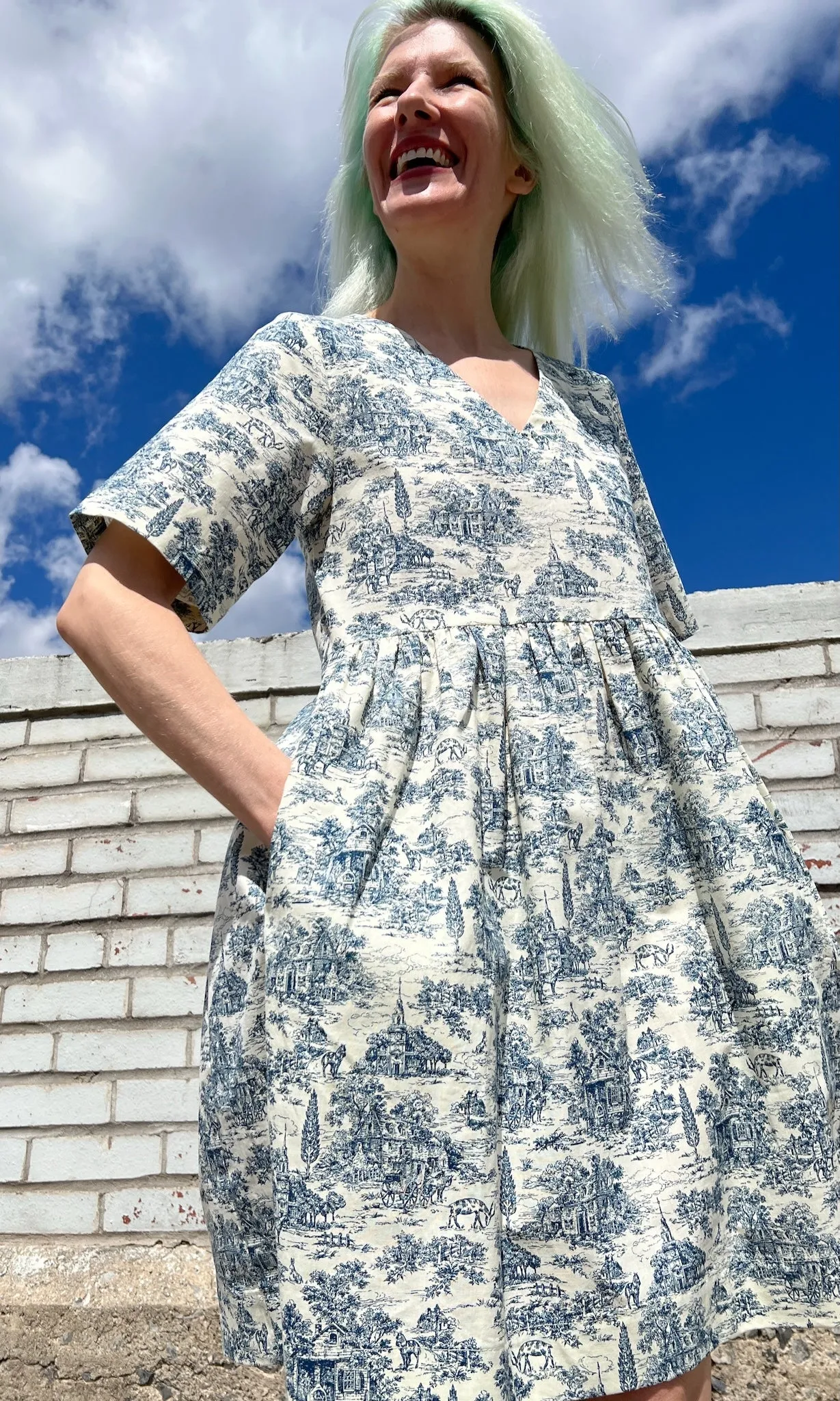 SS493 - L - Citril Finch Dress - Navy Village Toile sold by Birds of North America product image thumbnail 5
