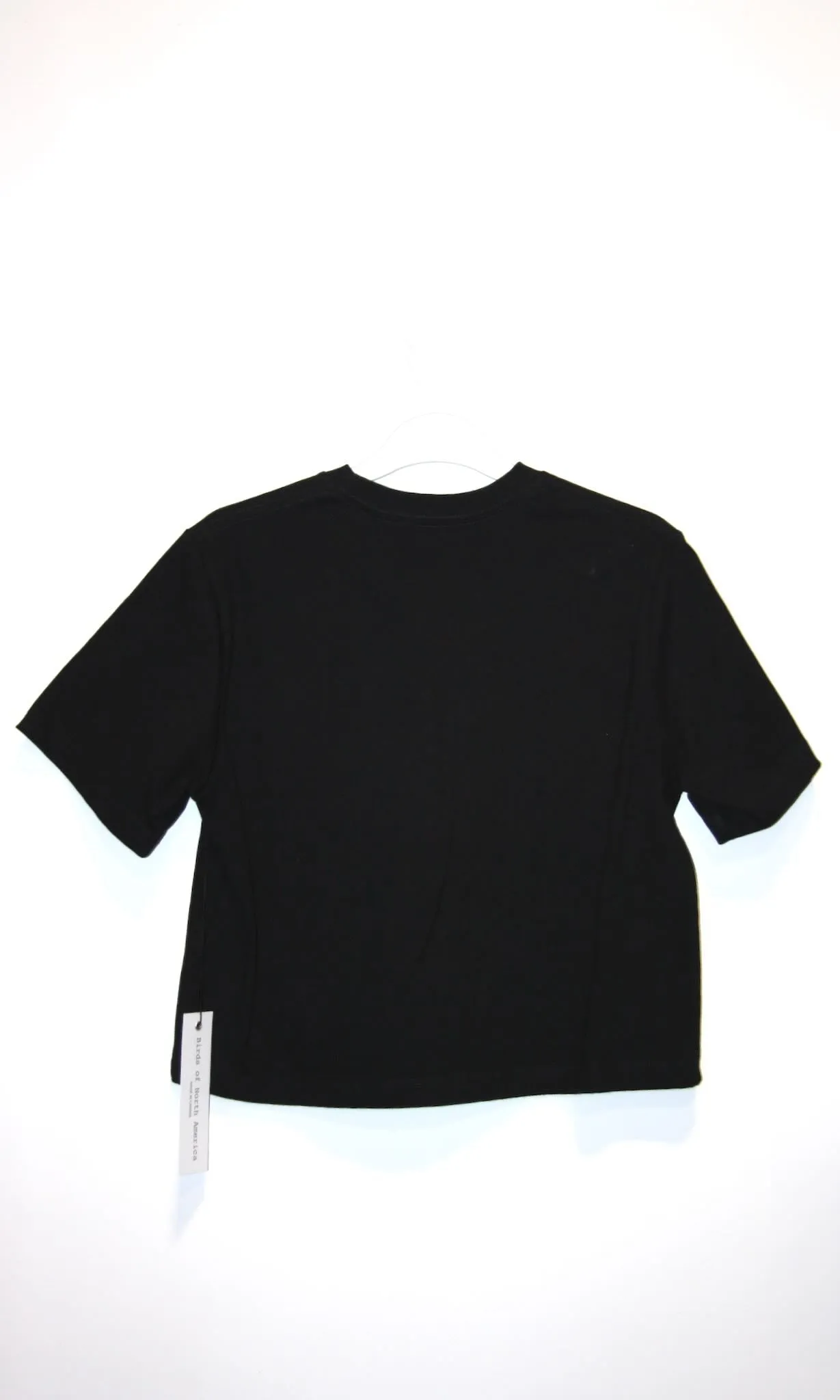 SS654 - XS - Cropped Tee - Black sold by Birds of North America product image thumbnail 2