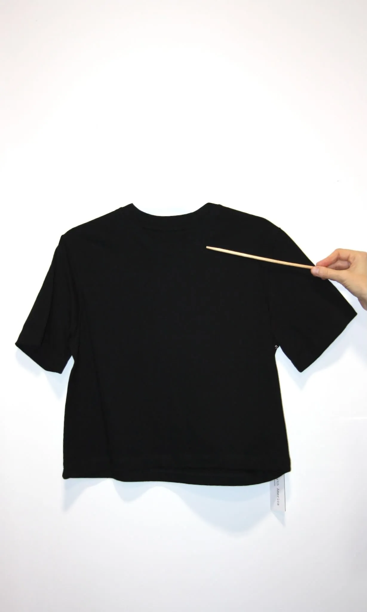 SS654 - XS - Cropped Tee - Black sold by Birds of North America