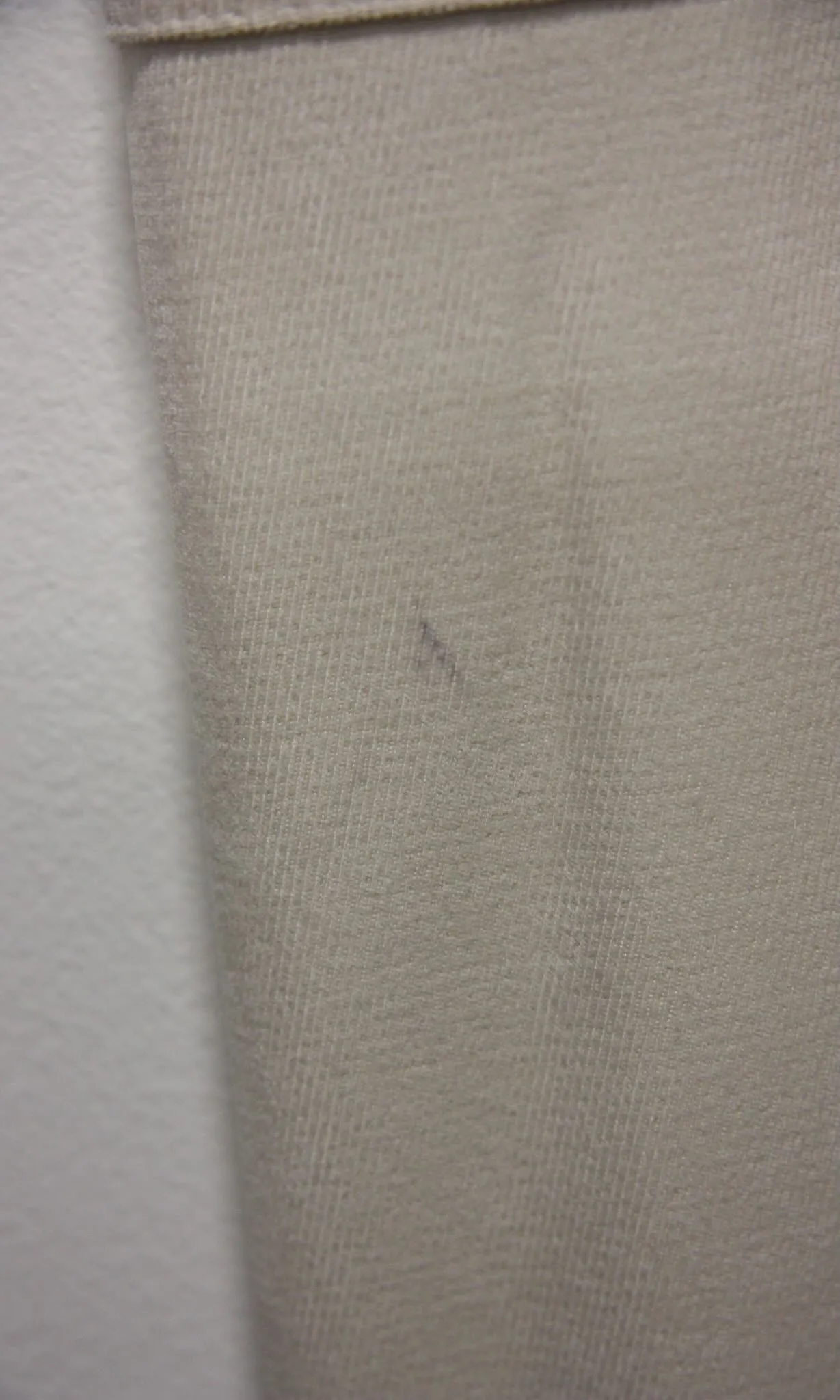 SS734 - 10 - Bloodfool Pant - Ecru sold by Birds of North America product image thumbnail 2