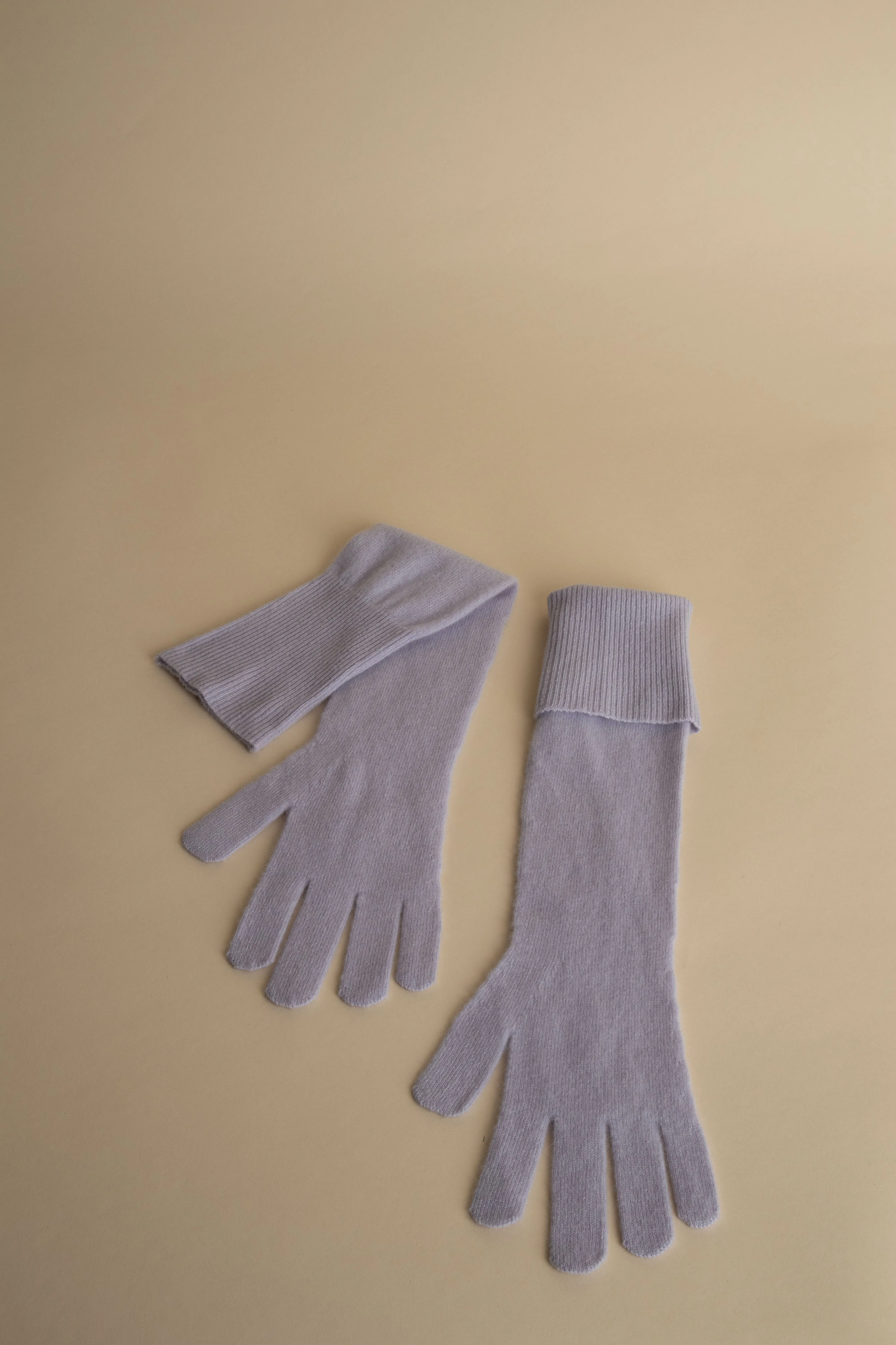 LILLI aster sold by ça va de soi