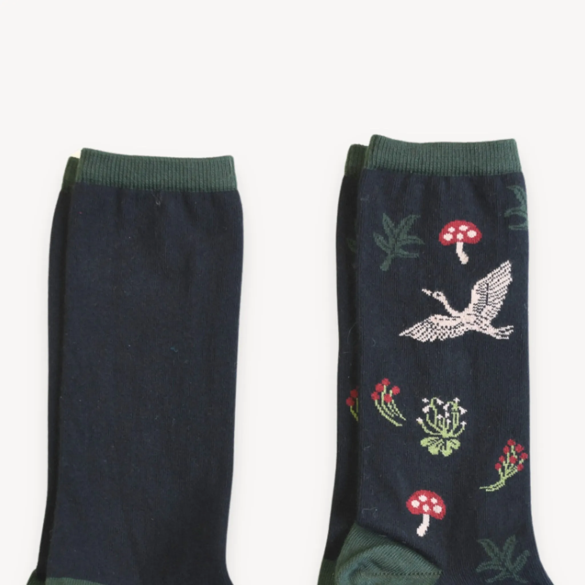 Forage Socks - Pack of 2 sold by POKOLOKO product image thumbnail 5