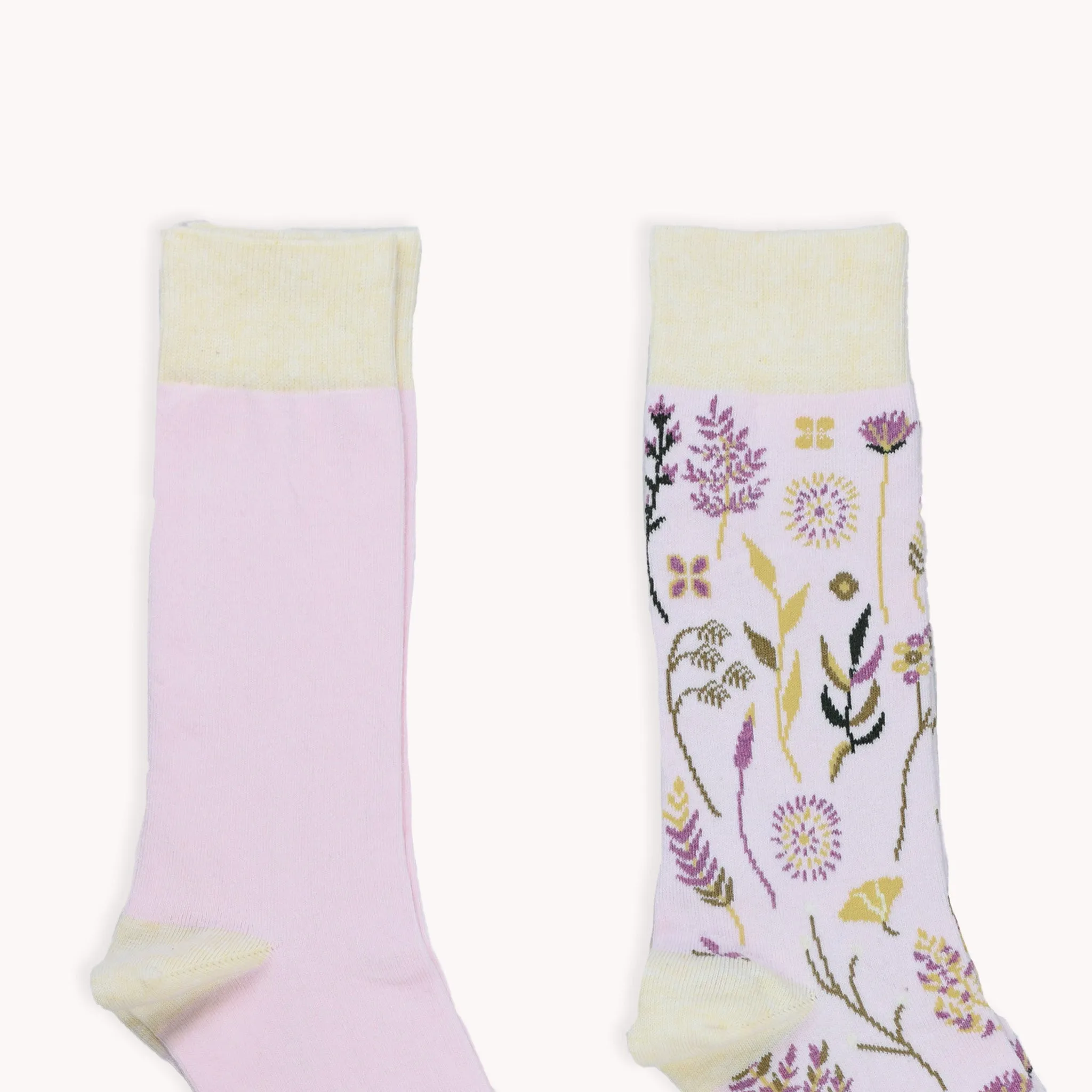 Botanical & Solid Pima Socks - Pack of 2 sold by POKOLOKO product image thumbnail 4