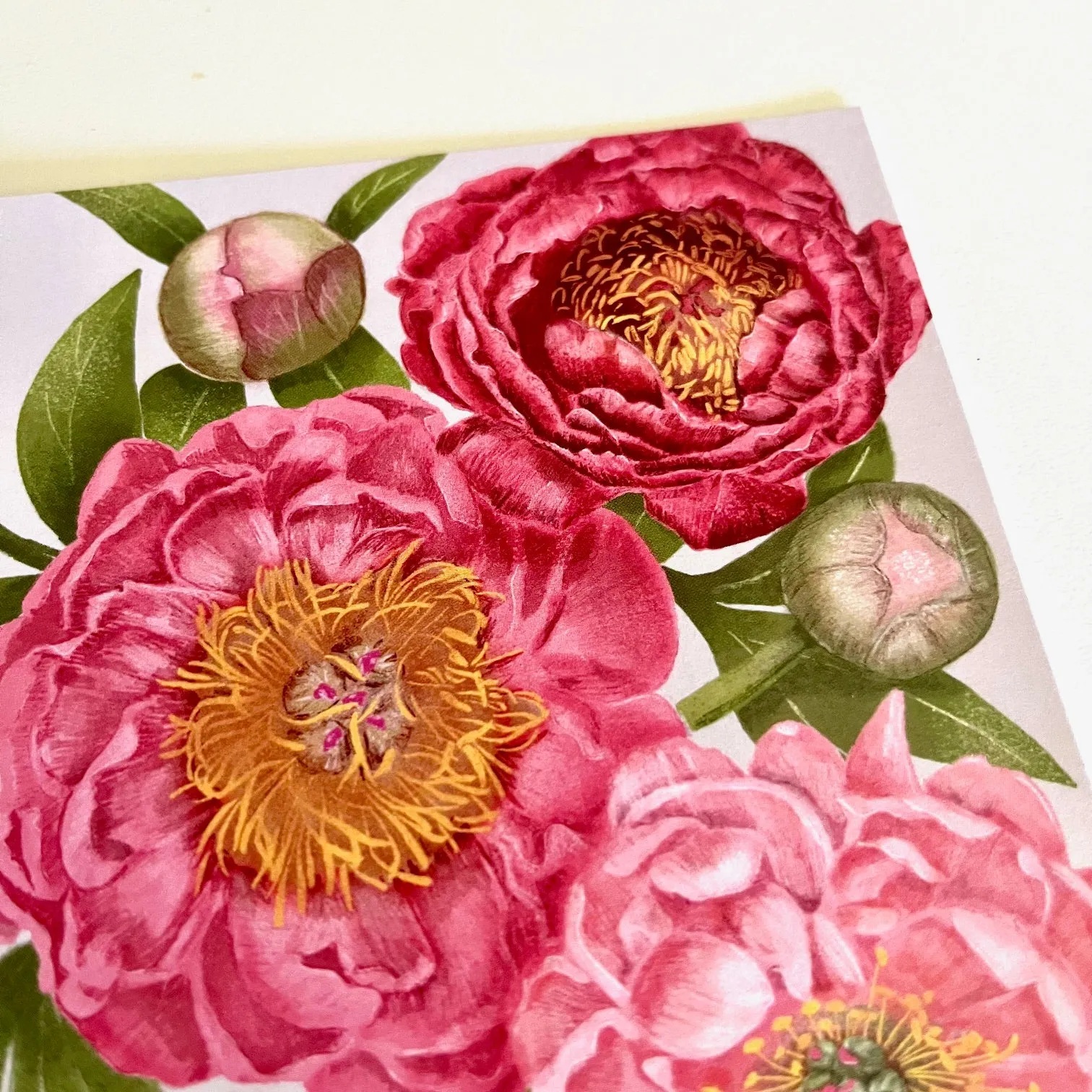 Hawk and Rose Press - Plentiful Peonies sold by Smoking Lily product image thumbnail 2